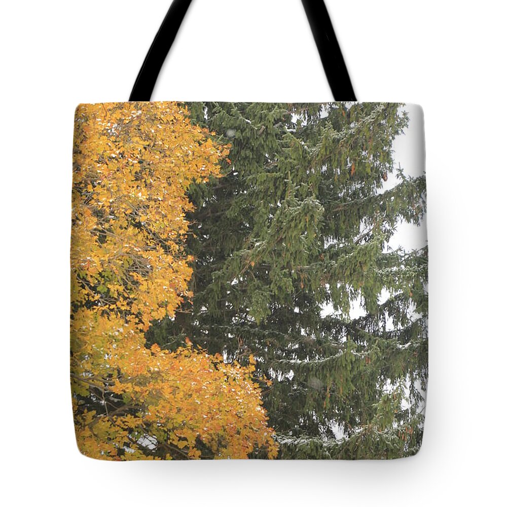 Christmas Tree Tote Bag featuring the photograph Sugar Maple and Evergreen by Valerie Collins