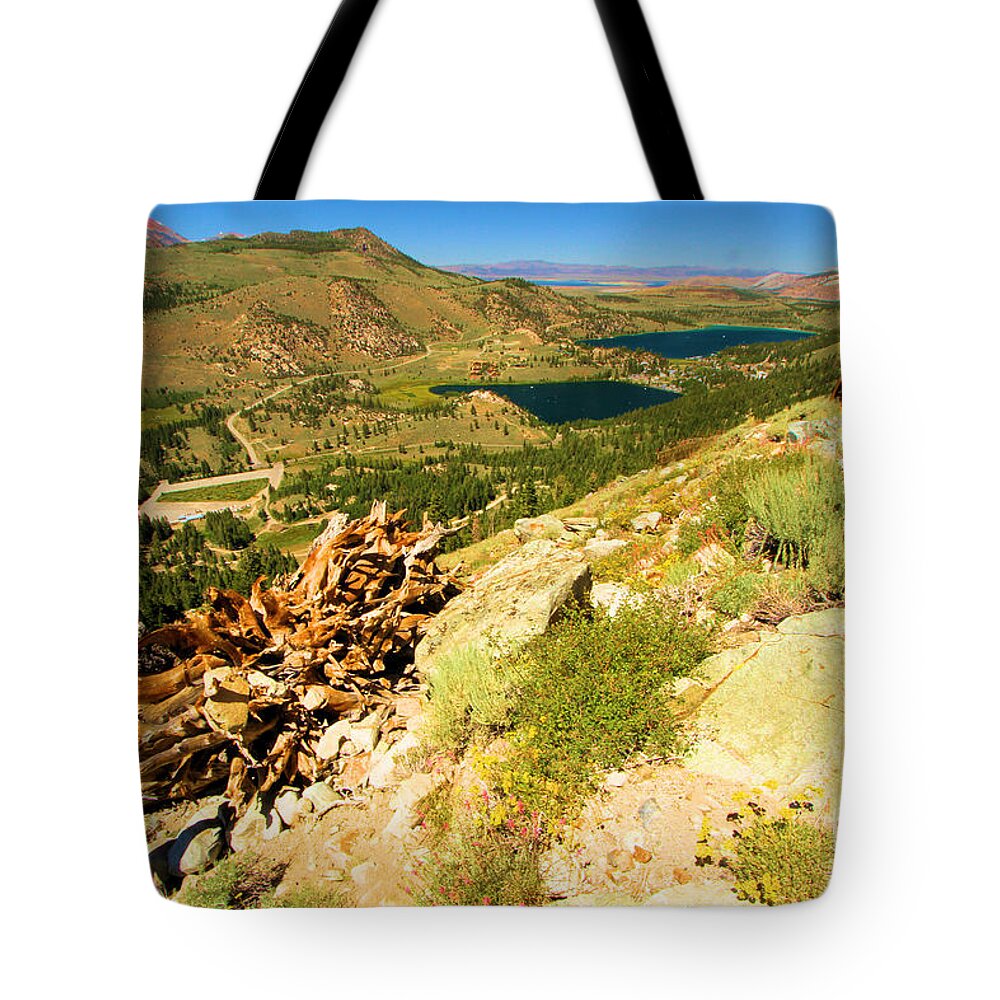 June Mountain Tote Bag featuring the photograph Summer At June by Adam Jewell