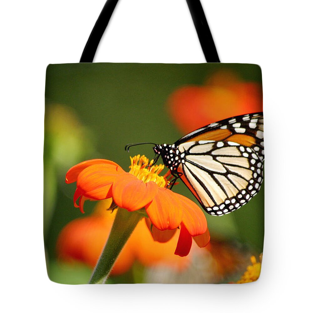 Monarch Tote Bag featuring the photograph Summer Beauty by Living Color Photography Lorraine Lynch