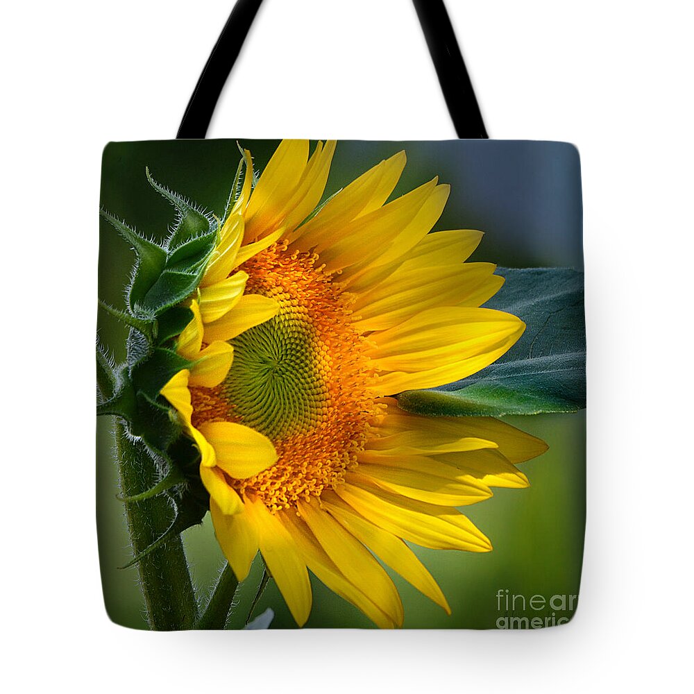Nature Tote Bag featuring the photograph Summer Bonnet by Nava Thompson