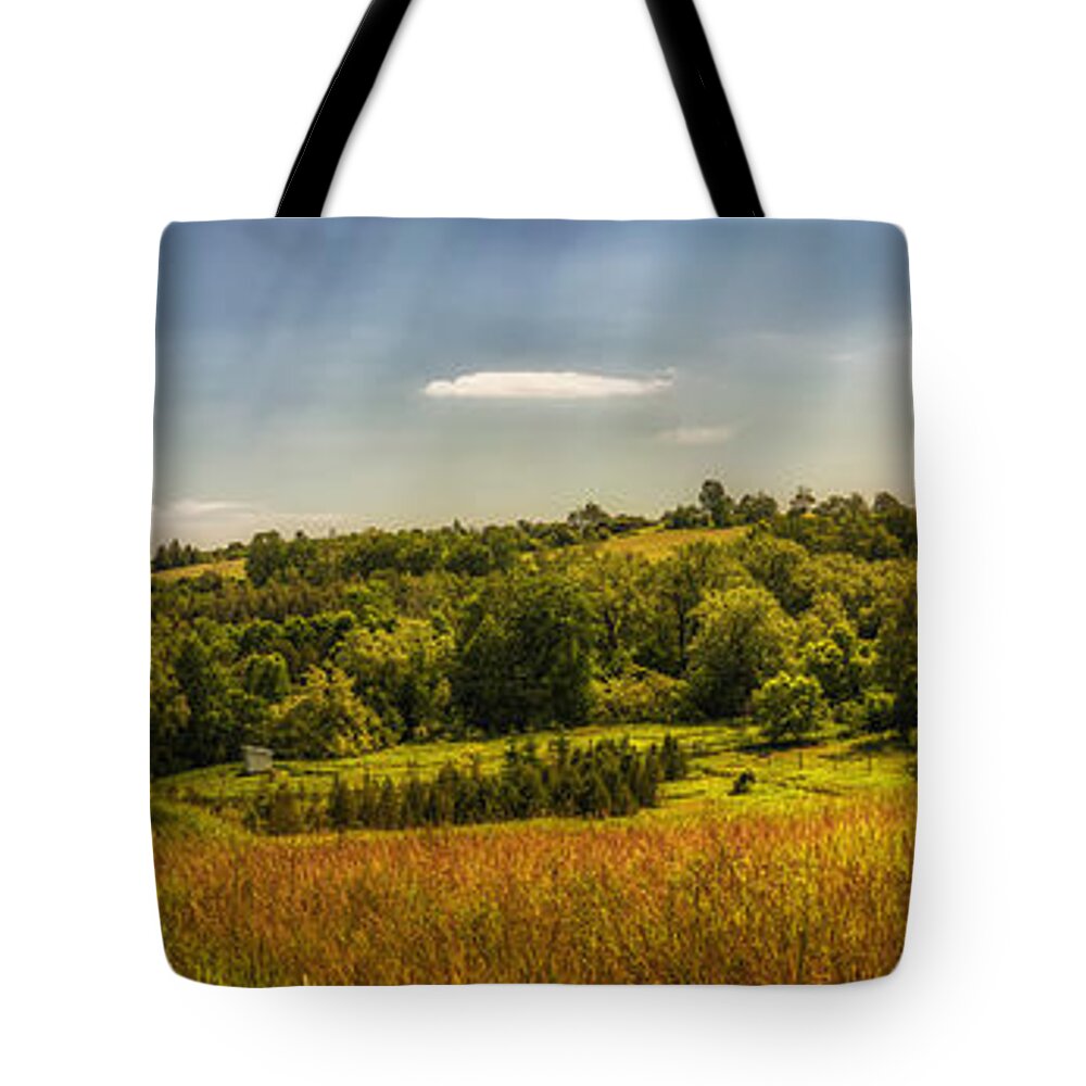 Landscape Tote Bag featuring the photograph Summer countryside by Elena Elisseeva