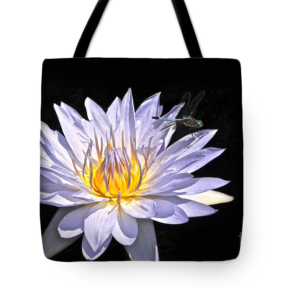 Lavender Tropical Waterlily And Blue Dasher Dragonfly Isolated Tote Bag featuring the photograph Summer Magic -- Dragonfly On Waterlily On Black by Byron Varvarigos