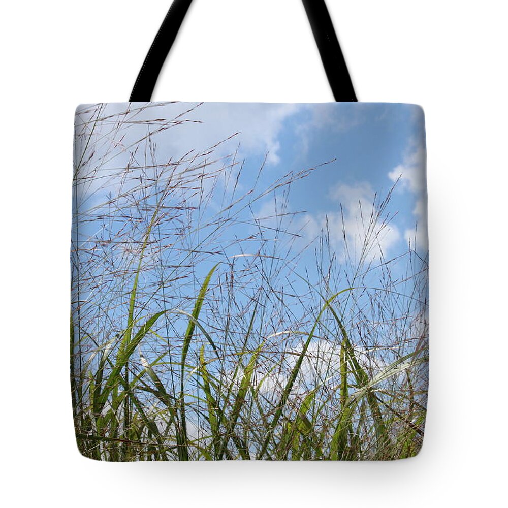 Grass Tote Bag featuring the photograph Summer sky by Carolyn Jacob