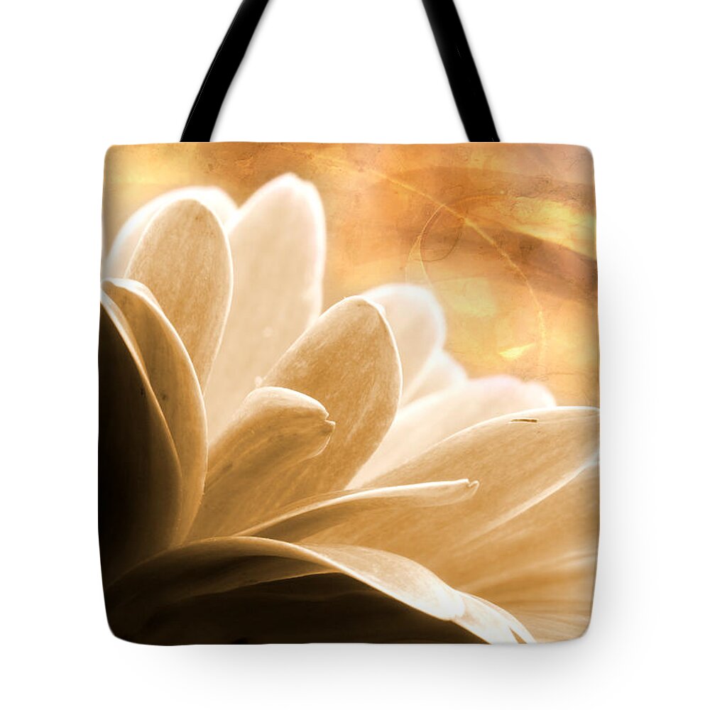 Gerbera Daisy Tote Bag featuring the photograph Summer Song by Michael Eingle