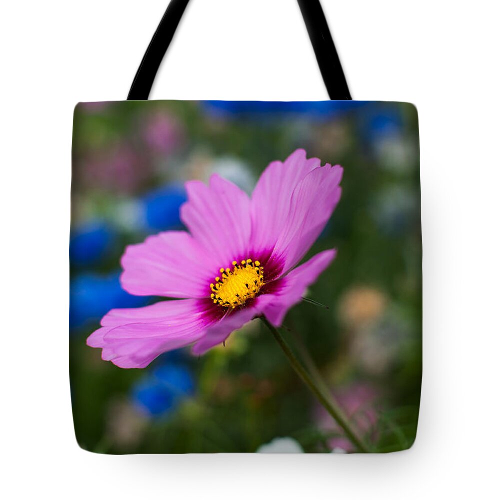 Flowers Tote Bag featuring the photograph Summer Wild Blooms by Matt Malloy