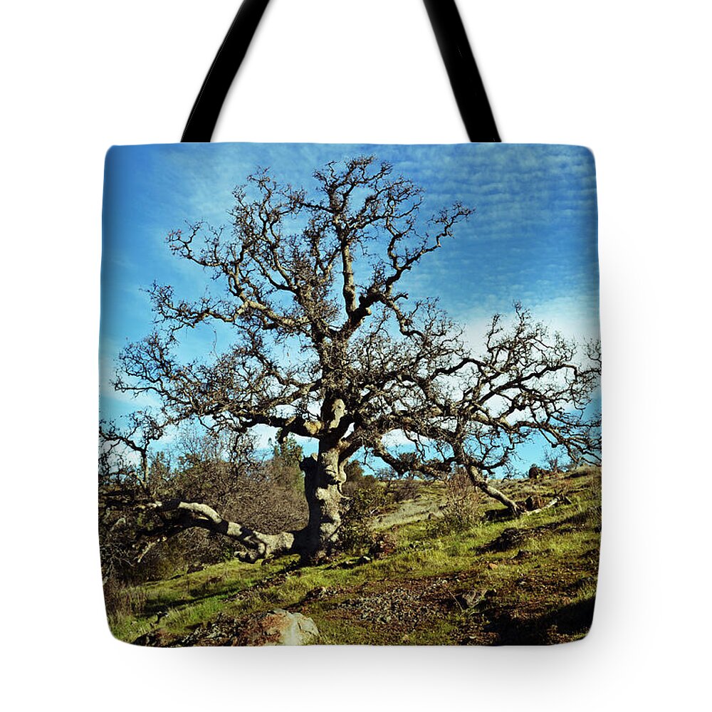 Chico Tote Bag featuring the photograph Summit of Monkey Face by Holly Blunkall