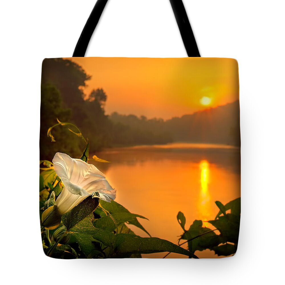 2011 Tote Bag featuring the photograph Sun And Flower by Robert Charity