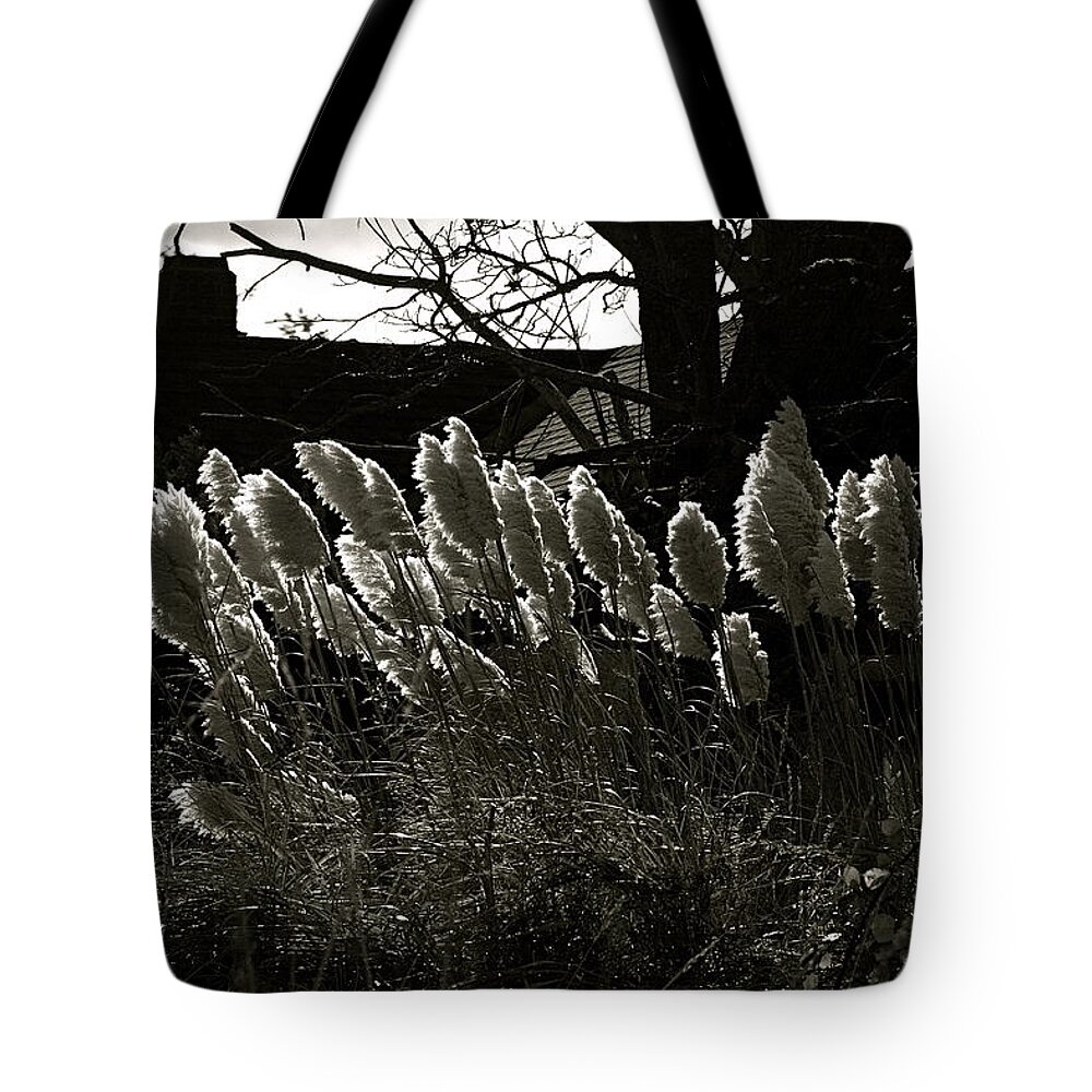Dark Tote Bag featuring the photograph Sun and Shadow by Alicia Kent