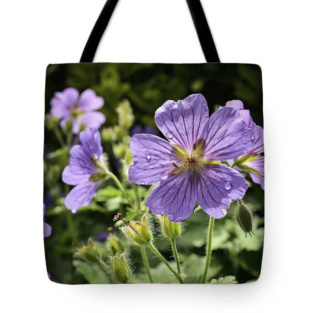 Nature Tote Bag featuring the photograph Sun bathed Geranium by Spikey Mouse Photography