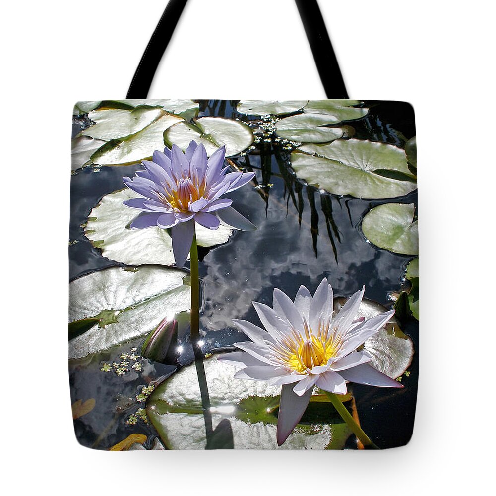 Photography Tote Bag featuring the photograph Sun-drenched Lily Pond     by Kaye Menner