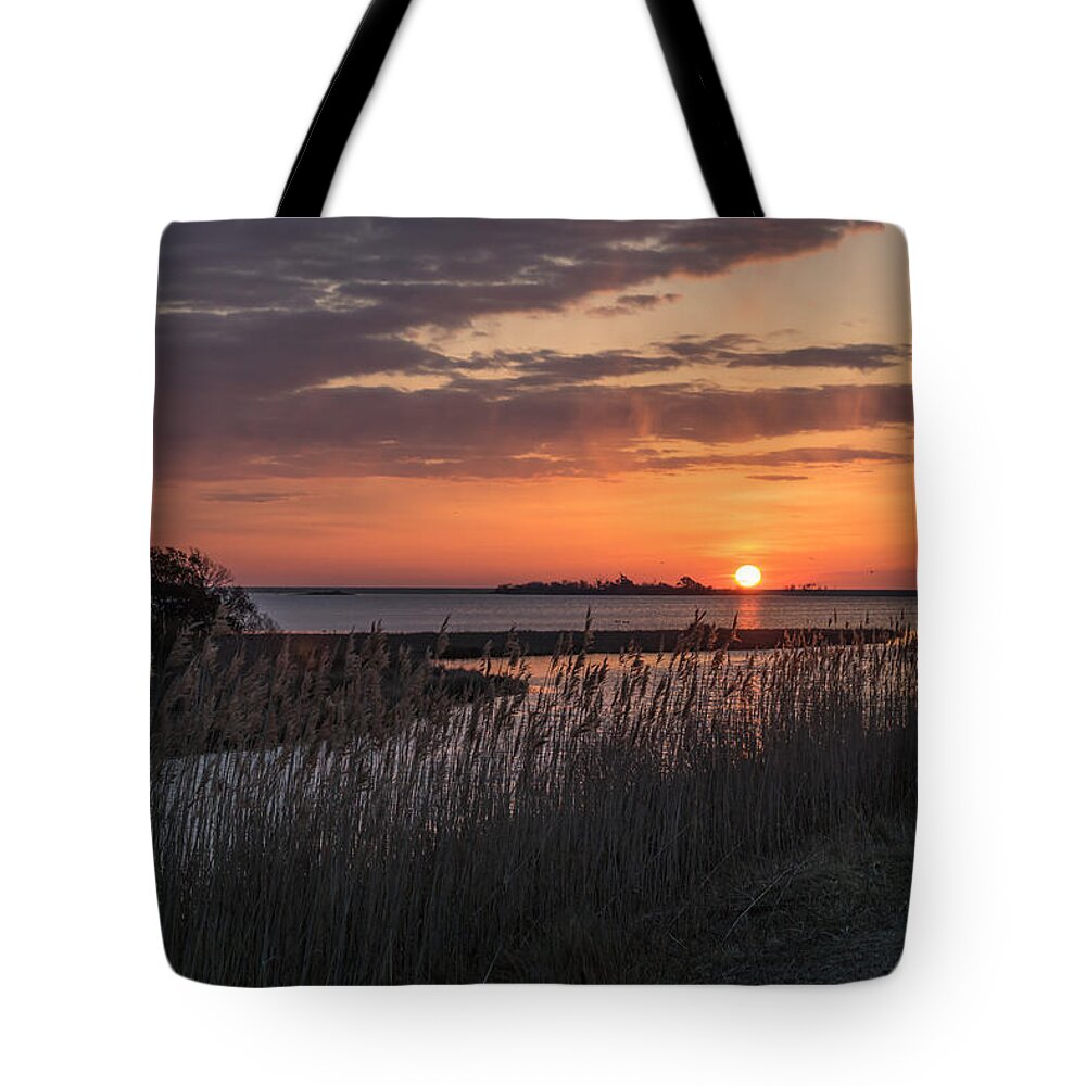 Assateague Tote Bag featuring the photograph Sun over Reeds by Photographic Arts And Design Studio