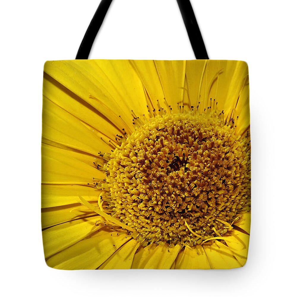 Flower Tote Bag featuring the photograph Sunburst by Phyllis Denton