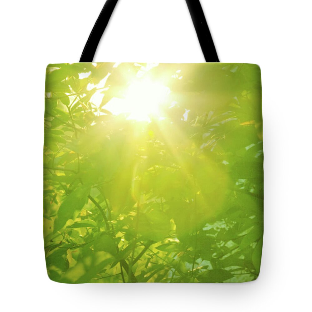Scotland Tote Bag featuring the photograph Sunburst Through Spring Branches And by Kathy Collins