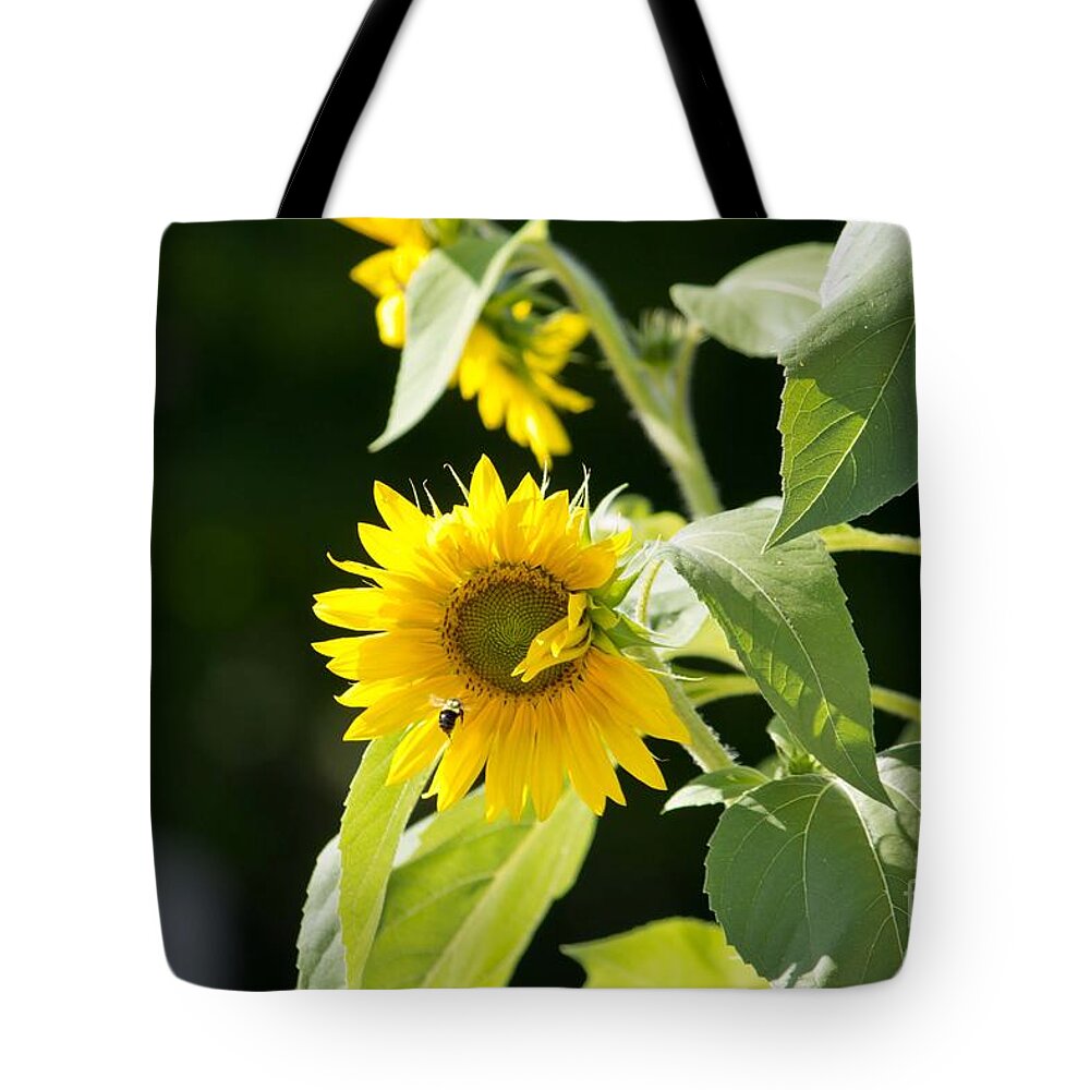 Sunflower Tote Bag featuring the photograph Sunflower and Honey Bee by Ms Judi