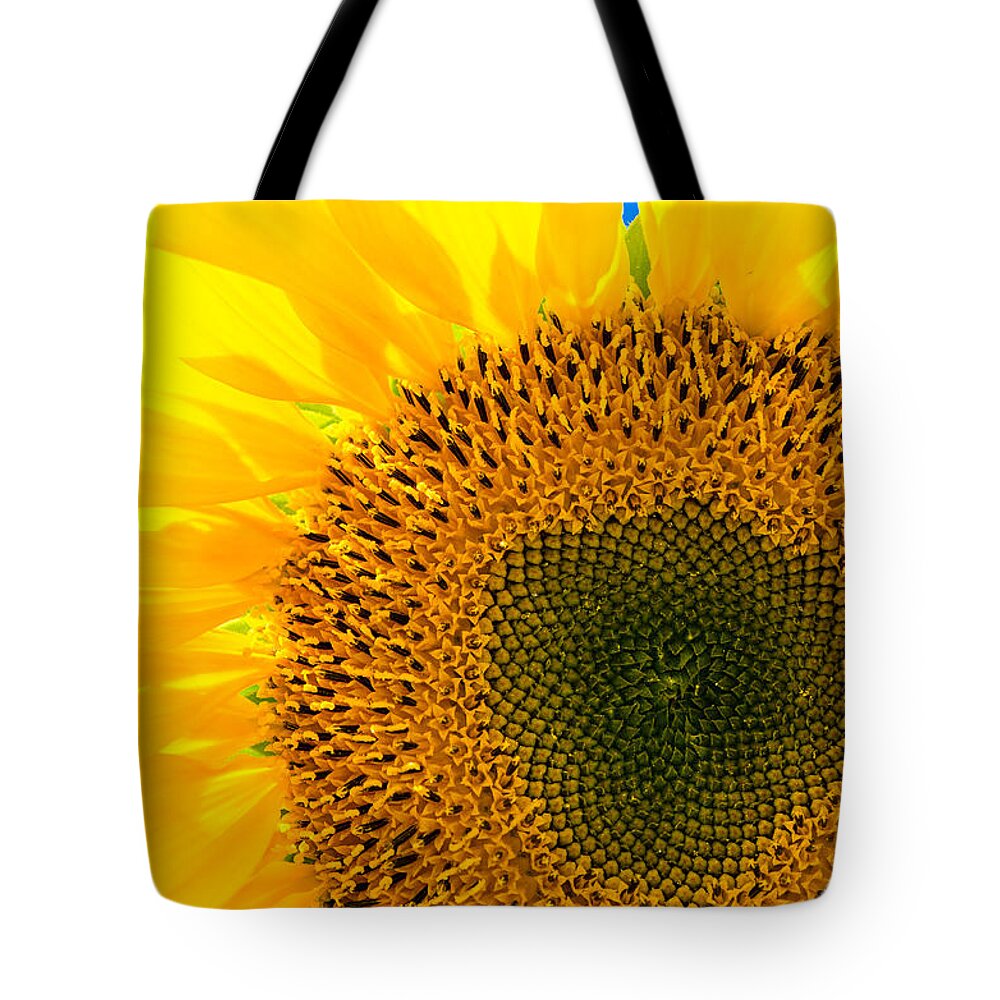Sunflower Tote Bag featuring the photograph Sunflower by Andreas Berthold
