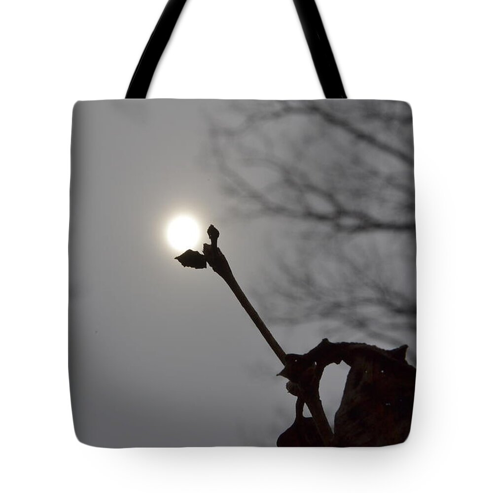 Sun Tote Bag featuring the photograph SunFlower by Carlee Ojeda