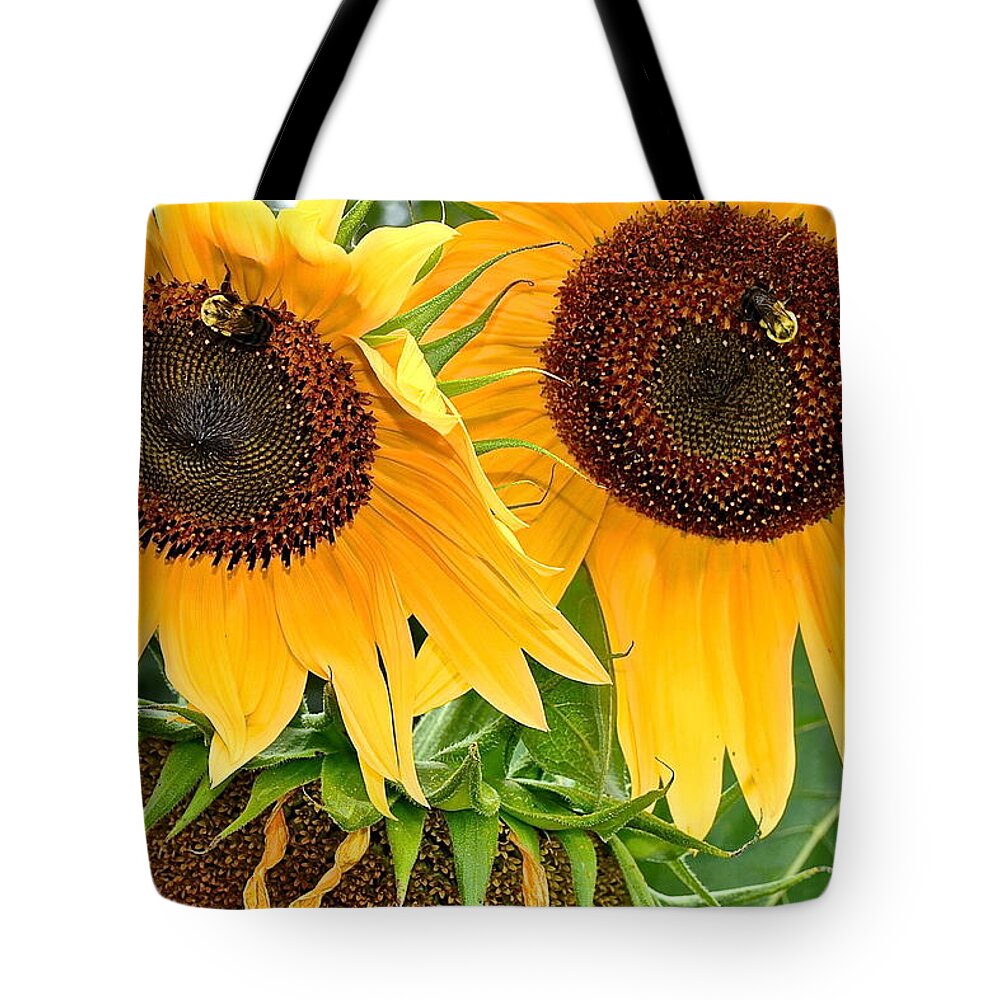 Close Tote Bag featuring the photograph Sunflower Close Up by Frozen in Time Fine Art Photography