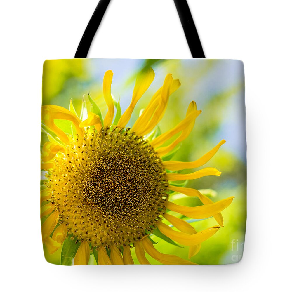 Sunflower Details Tote Bag featuring the photograph Sunflower Details by Imagery by Charly