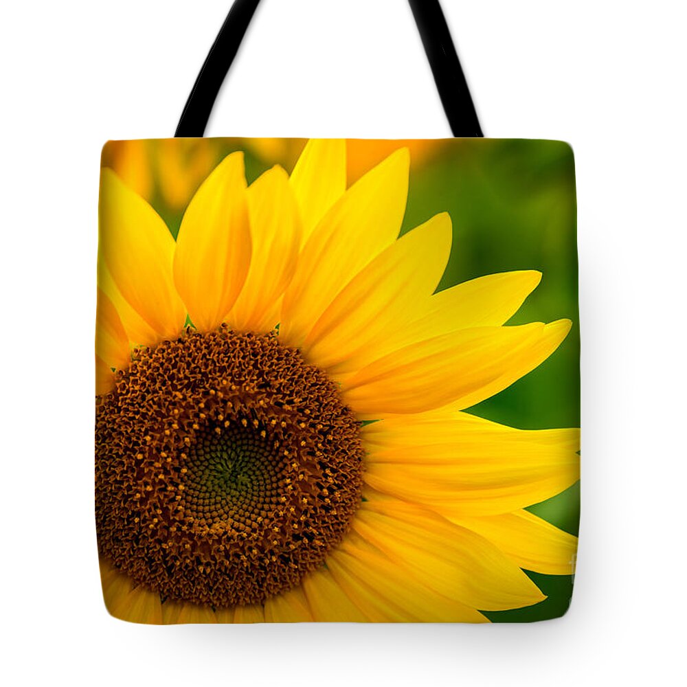 Sunflower Tote Bag featuring the photograph Sunflower Colors by Michael Ver Sprill