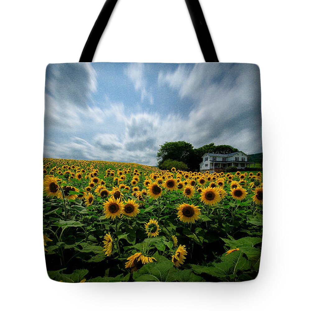Sunflower Field Tote Bag featuring the photograph Sunflower field by Crystal Wightman