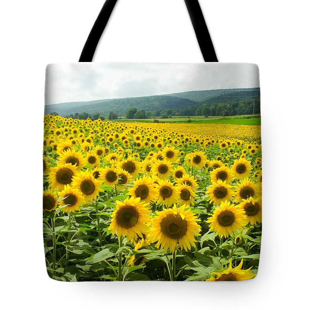 Sunflowers Tote Bag featuring the photograph Sunflower Field by Gary Wightman