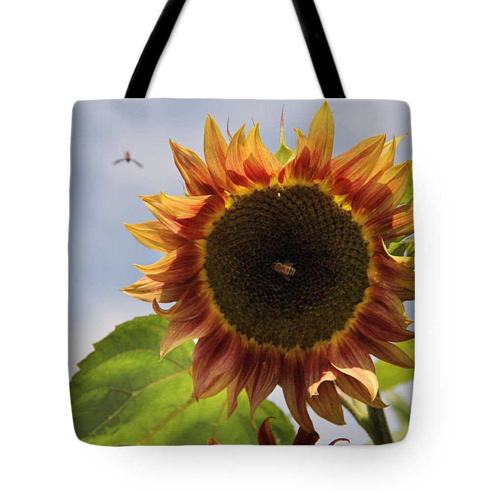 Sunflower Tote Bag featuring the photograph Sunflower honeybee by John Meader