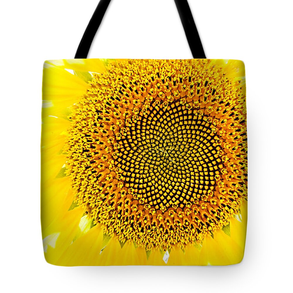 Sunflower Tote Bag featuring the photograph Sunflower in the Summer Sun by Weston Westmoreland
