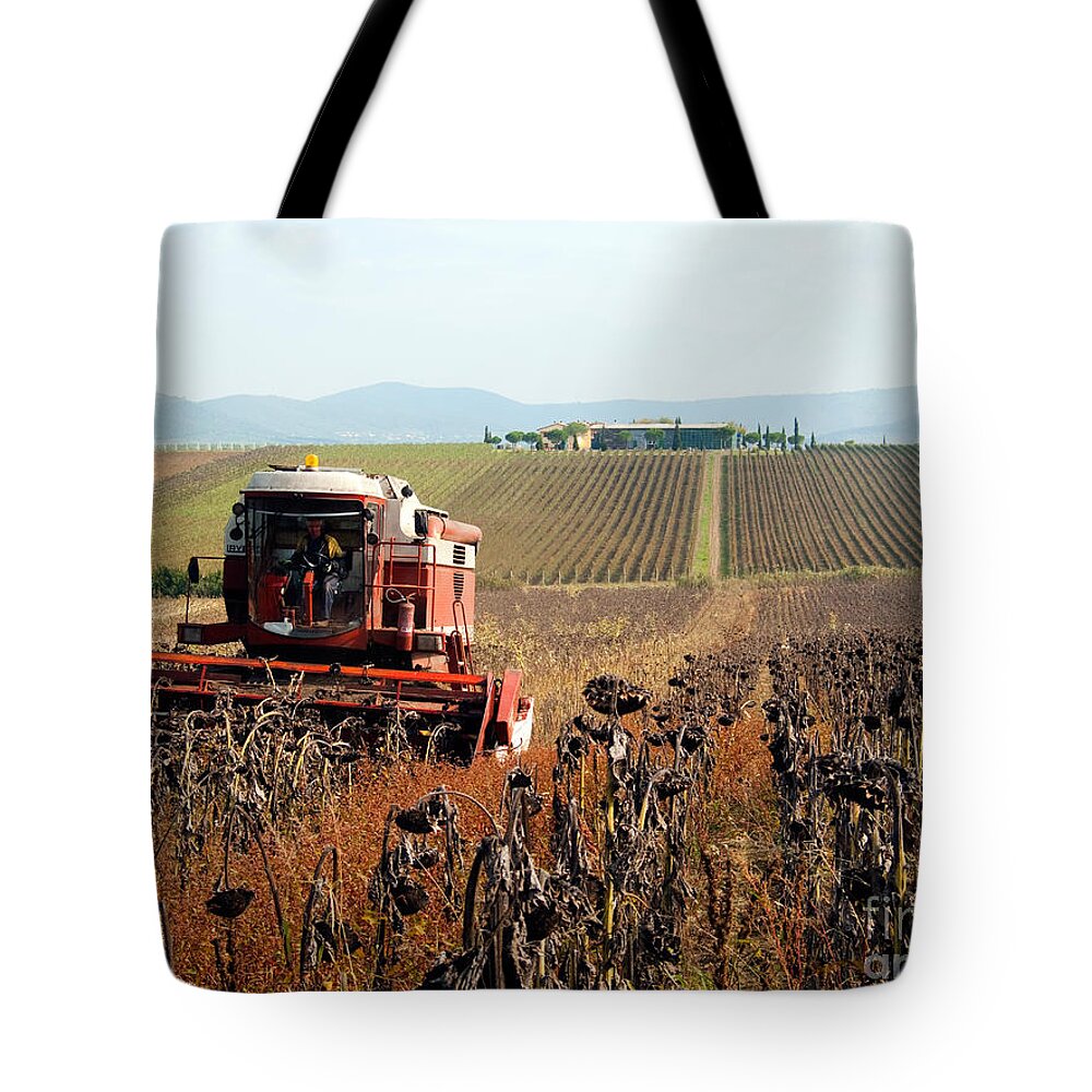 Sunflower Tote Bag featuring the photograph Sunflower Seed Harvest by Tim Holt