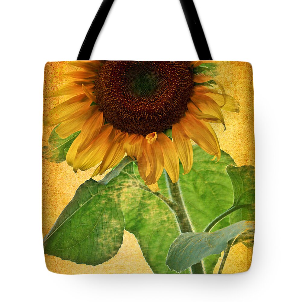 Sunflower Tote Bag featuring the photograph Sunny Sunflower Wall Art by Carol F Austin