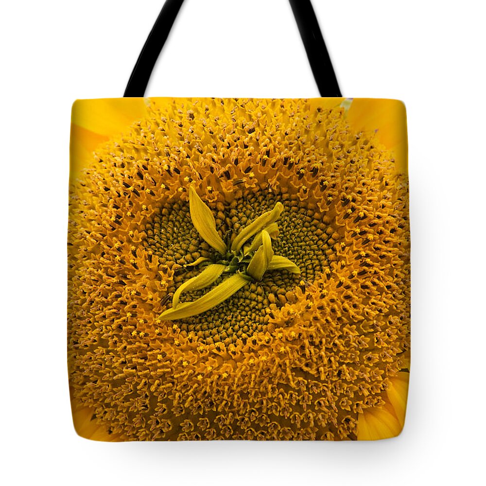 Sunflower Tote Bag featuring the photograph Sunflower by Sue Leonard