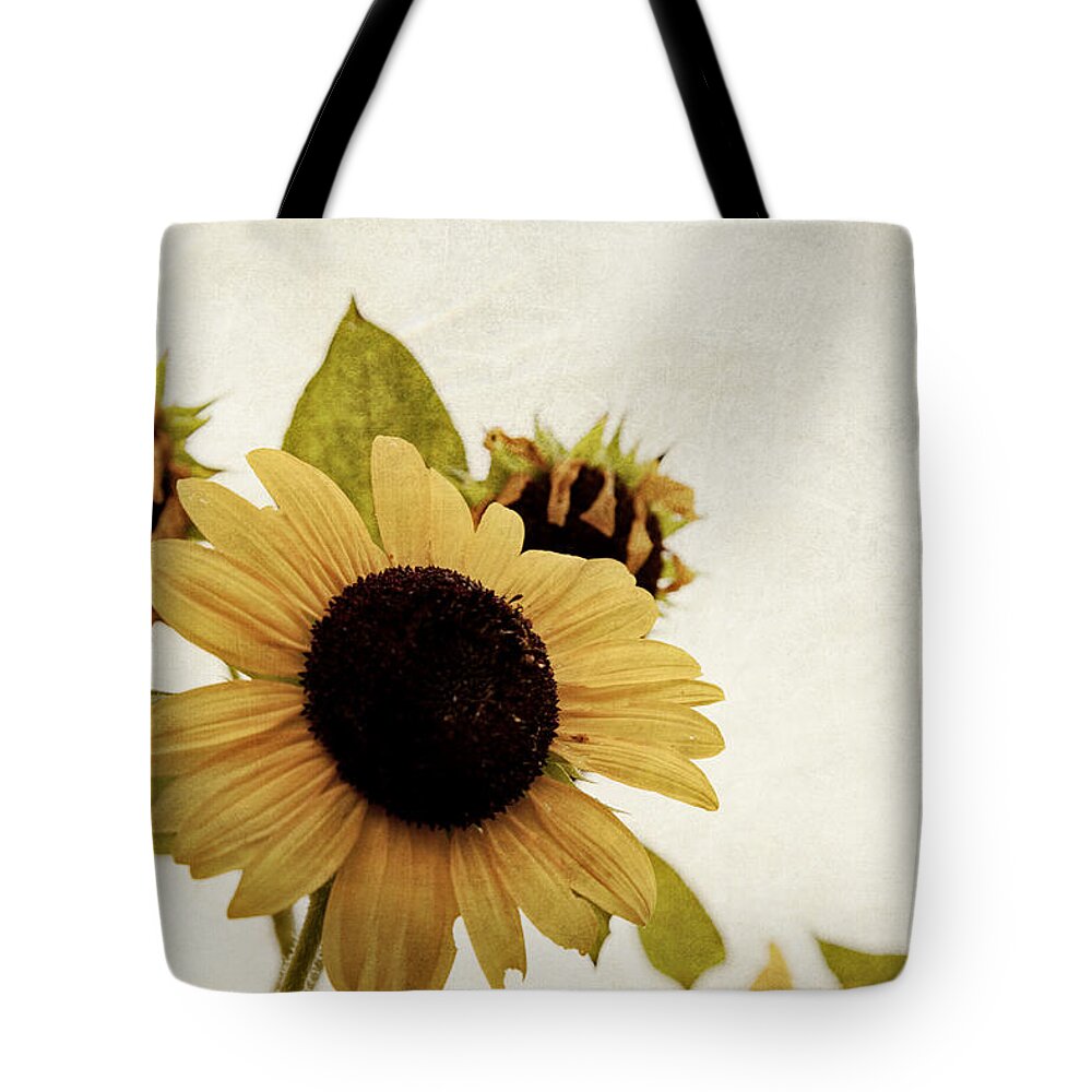 Sunflower Tote Bag featuring the photograph Sunflower by Toni Hopper