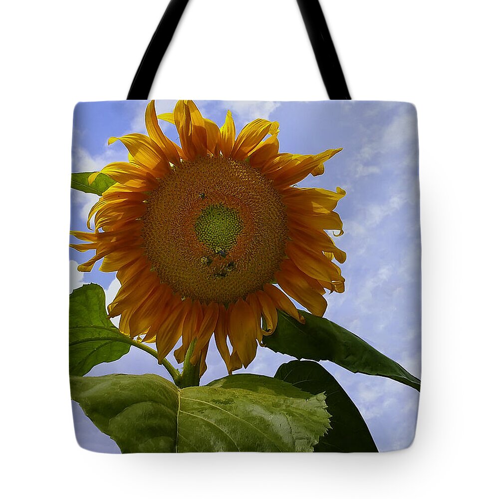 Sunflower Tote Bag featuring the photograph Sunflower with busy bees by Flees Photos