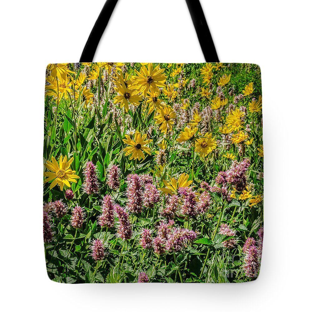 Agastache Urticifolia Tote Bag featuring the photograph Sunflowers and Horsemint by Sue Smith