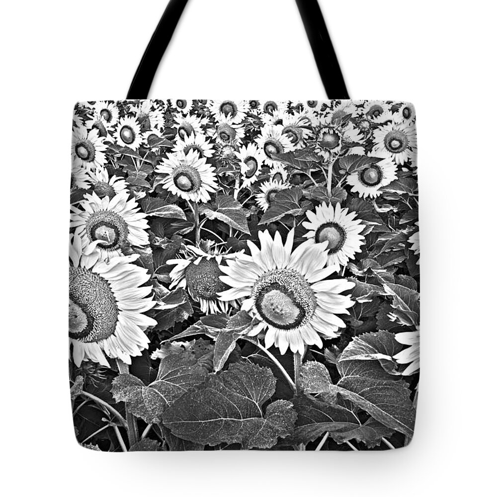 Sunflower Tote Bag featuring the photograph Sunflowers by Elena Nosyreva
