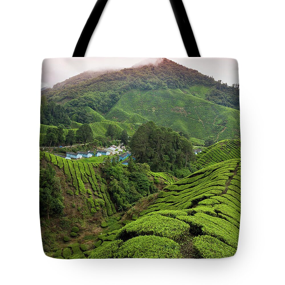 Cameron Highlands Tote Bag featuring the photograph Sungai Palas Tea Estate With Workers by Anders Blomqvist