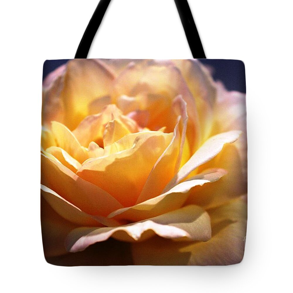 Rose Tote Bag featuring the photograph Sunkissed Rose by Judy Palkimas