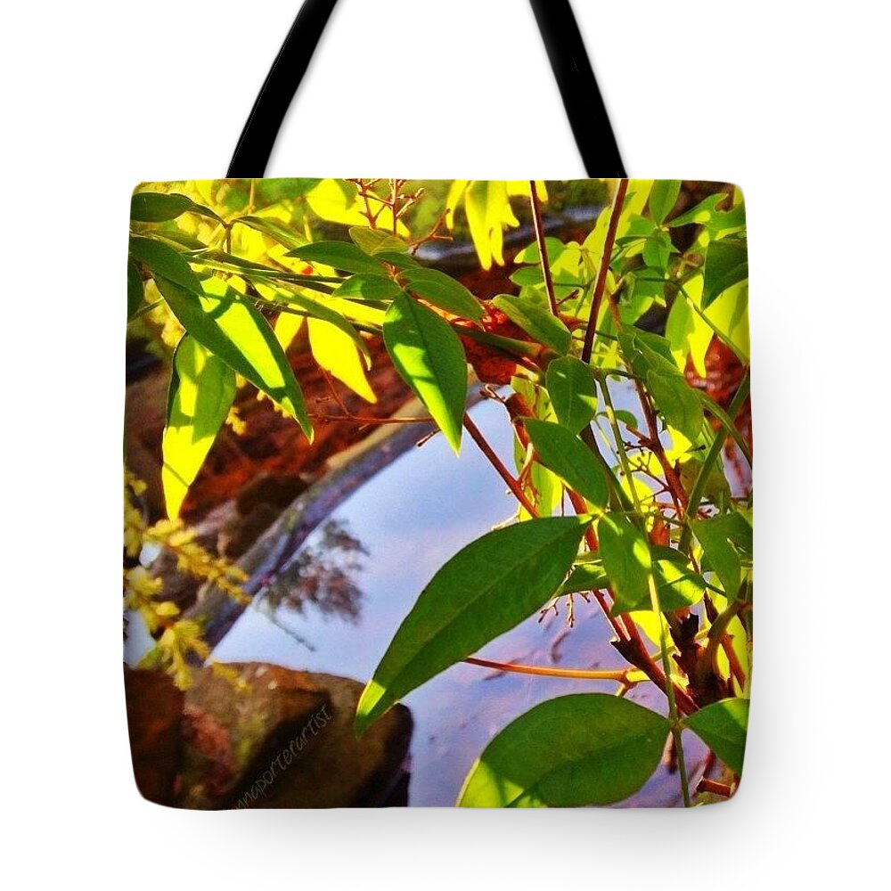 Ig_masterpiece Tote Bag featuring the photograph Sunlight, Leaves And A Pond by Anna Porter
