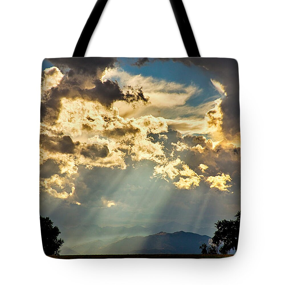 Forest Tote Bag featuring the photograph Sunlight Raining Down From the Heavens by James BO Insogna