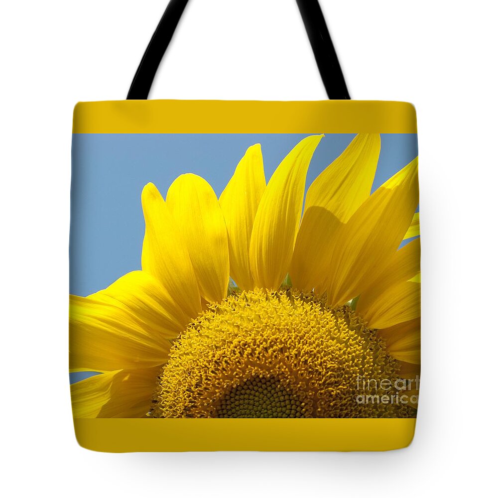 Sunflower Tote Bag featuring the photograph Sunlit Sunflower by Ann Horn
