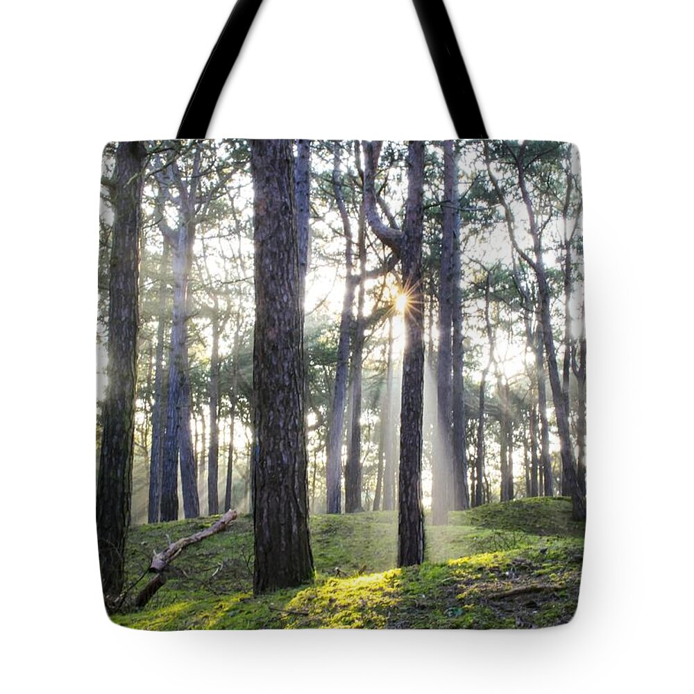 Trees Tote Bag featuring the photograph Sunlit Trees by Spikey Mouse Photography