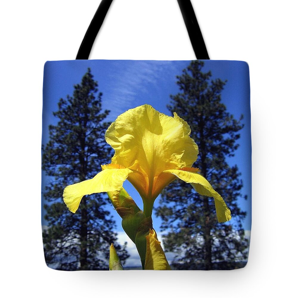 Sunlit Yellow Iris Tote Bag featuring the photograph Sunlit Yellow Iris by Will Borden