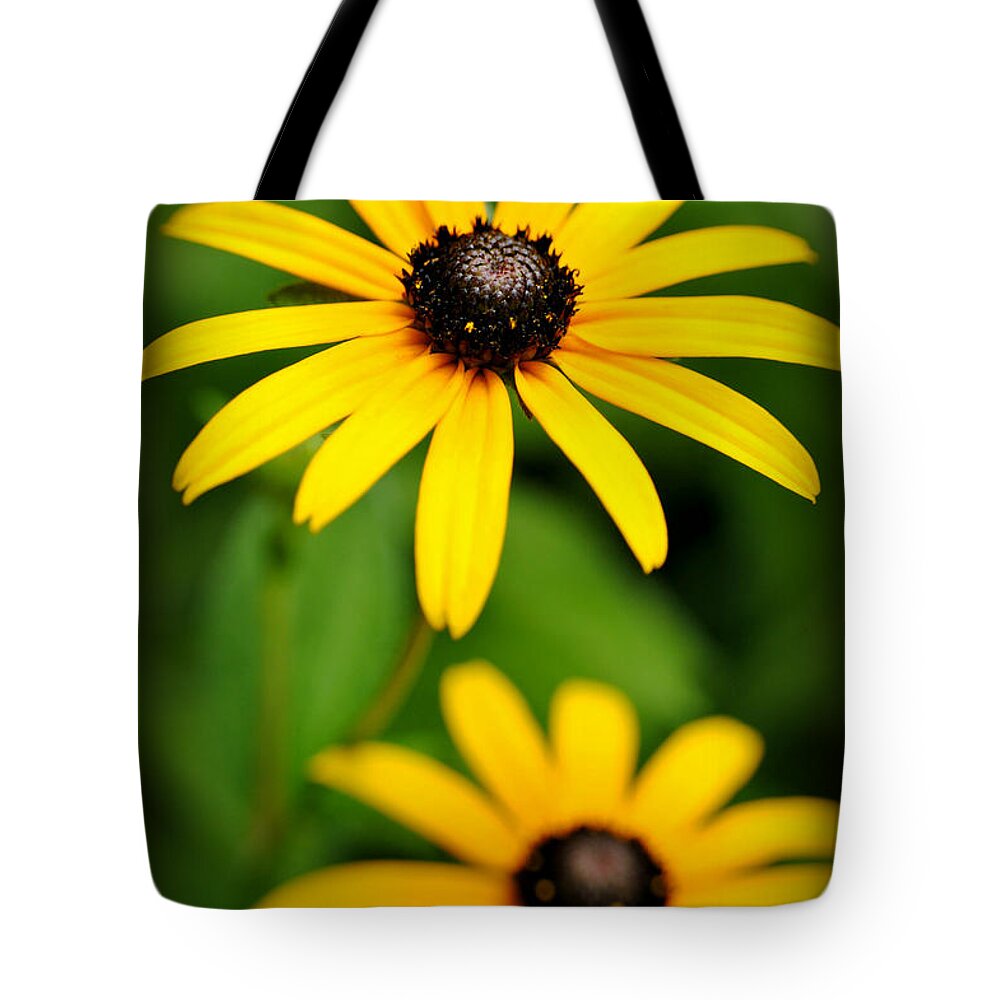 Rudebeckia Tote Bag featuring the photograph Sunny Black eyed Susan by Kelly Nowak