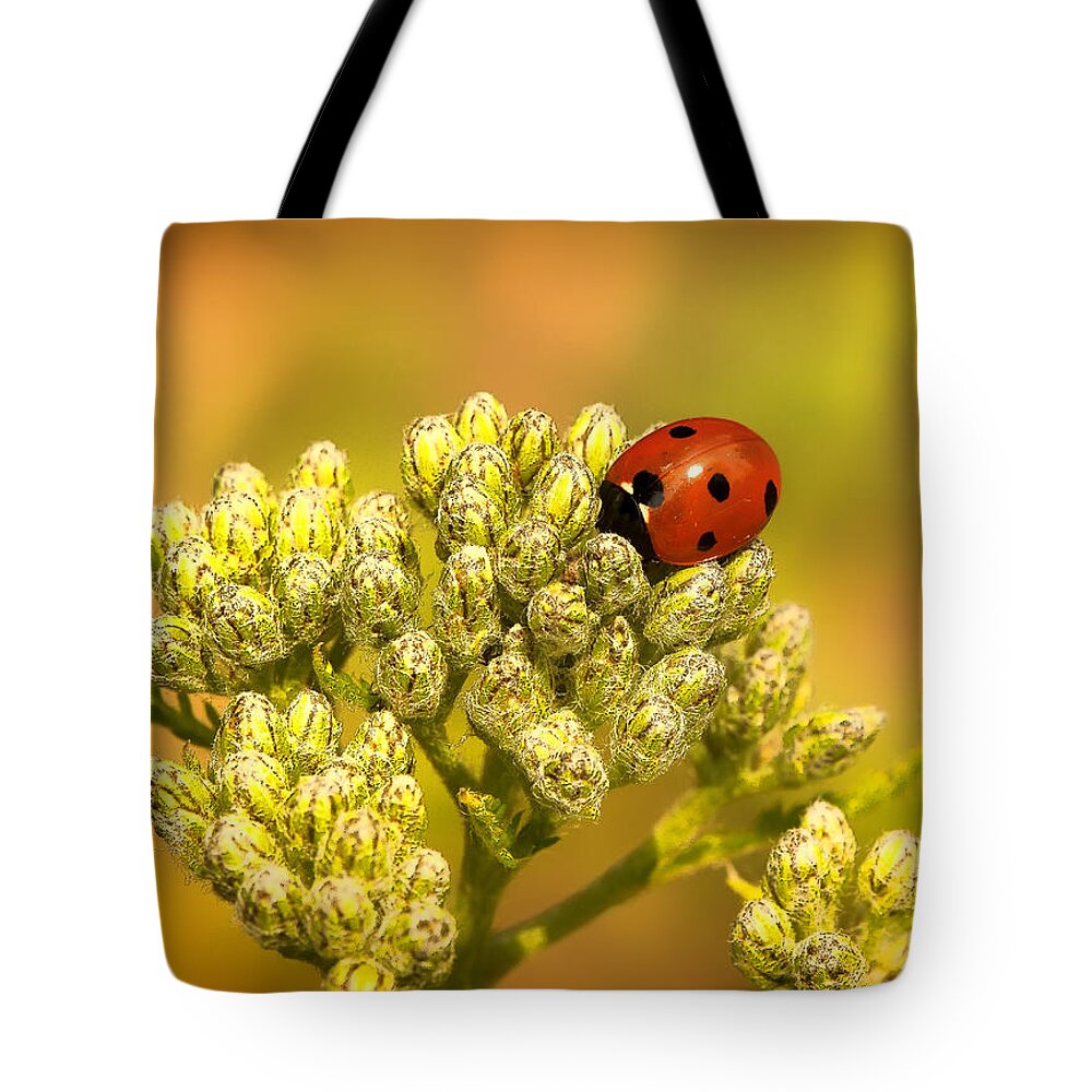 Ladybug Tote Bag featuring the photograph Sunny Little Ladybird by Bill and Linda Tiepelman