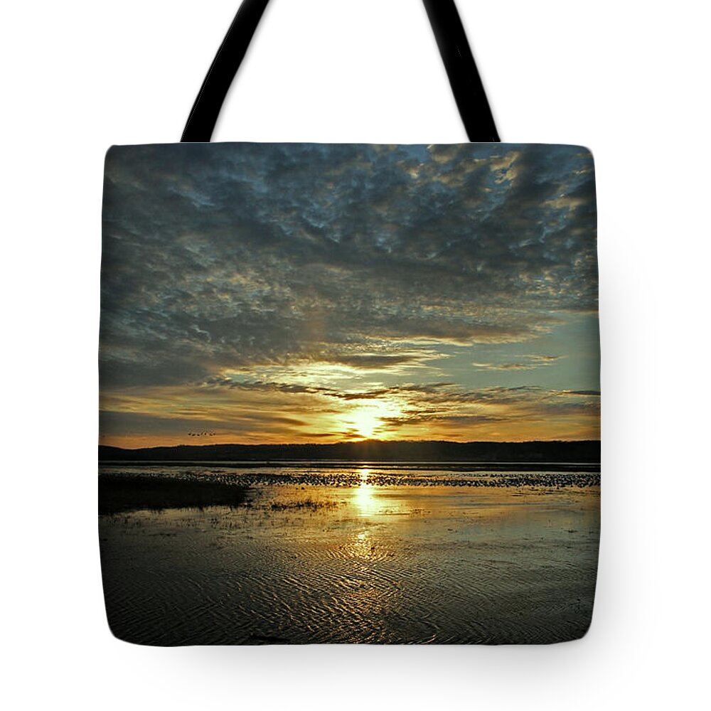 Sunrise Tote Bag featuring the photograph Sunrise Arrivals by Elizabeth Winter