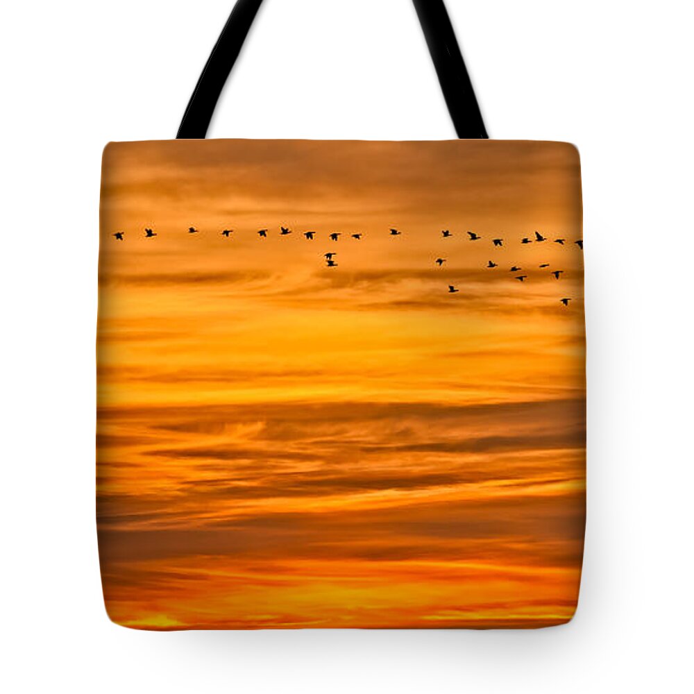 Canadian Geese Tote Bag featuring the photograph Sunrise Flight by David Kay