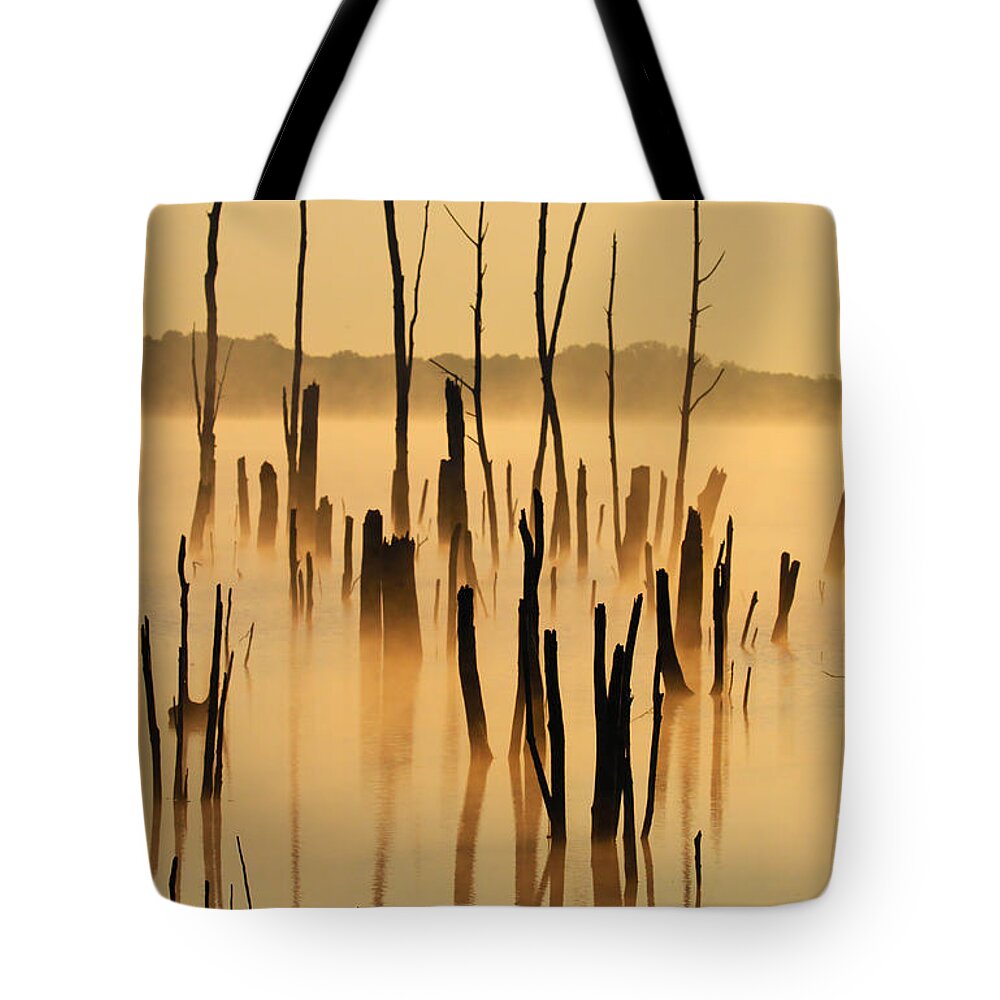 Sunrise Tote Bag featuring the photograph Sunrise Mist by Roger Becker