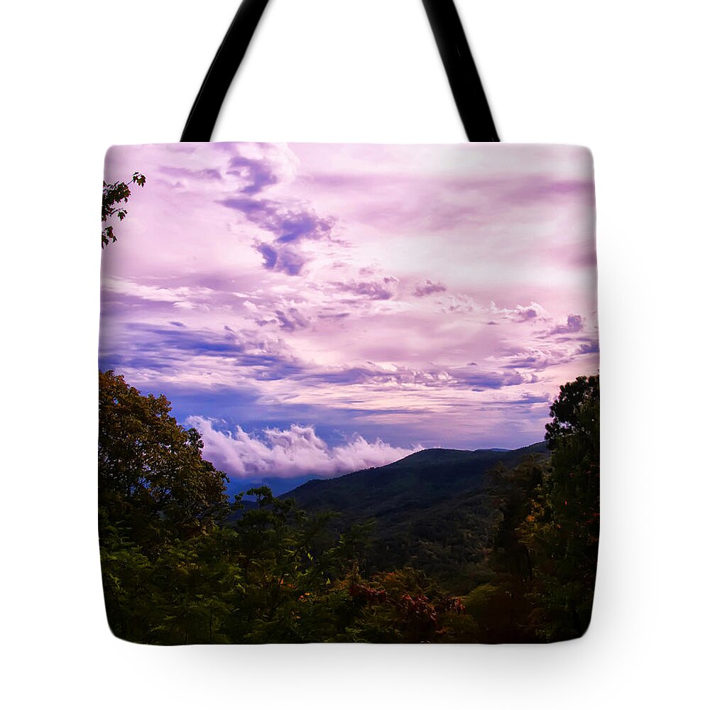 Nc Images Tote Bag featuring the photograph Sunset at Gorges State park by Flees Photos