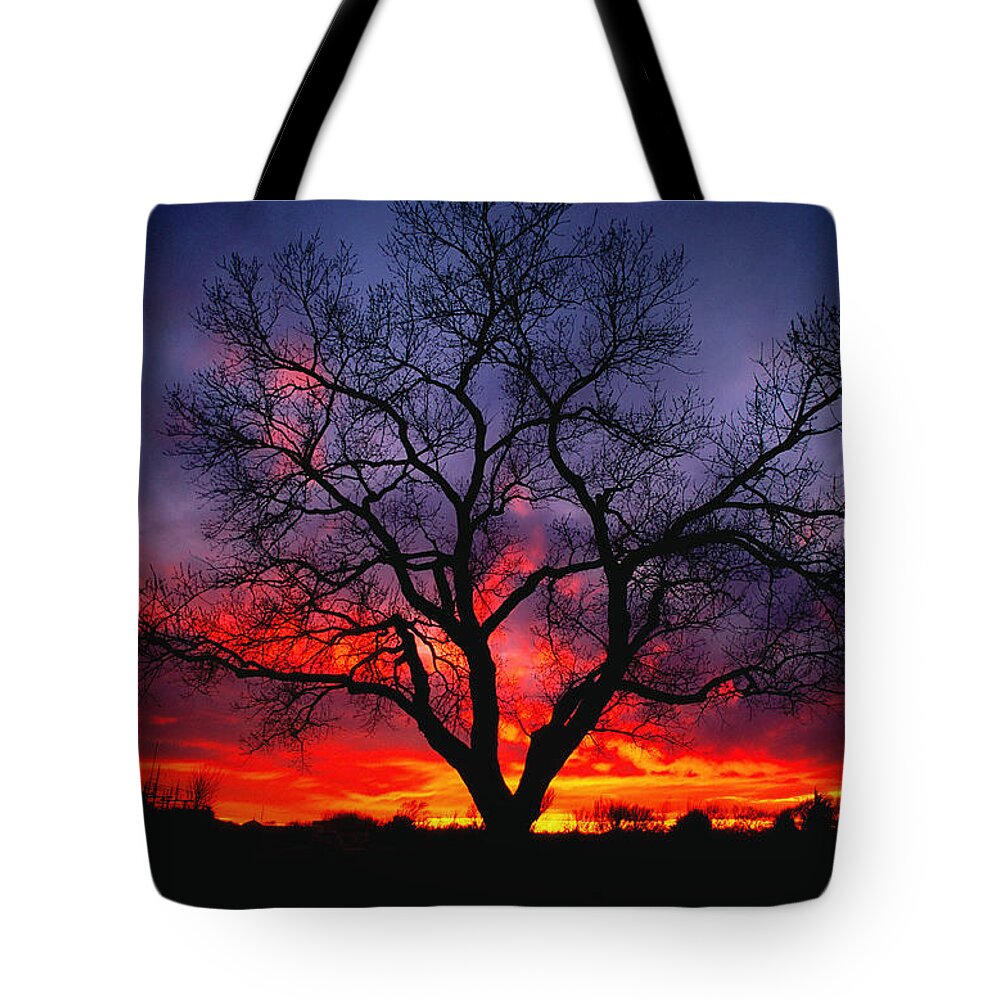 Sunset Tote Bag featuring the photograph Sunset Fire by Joe Ownbey