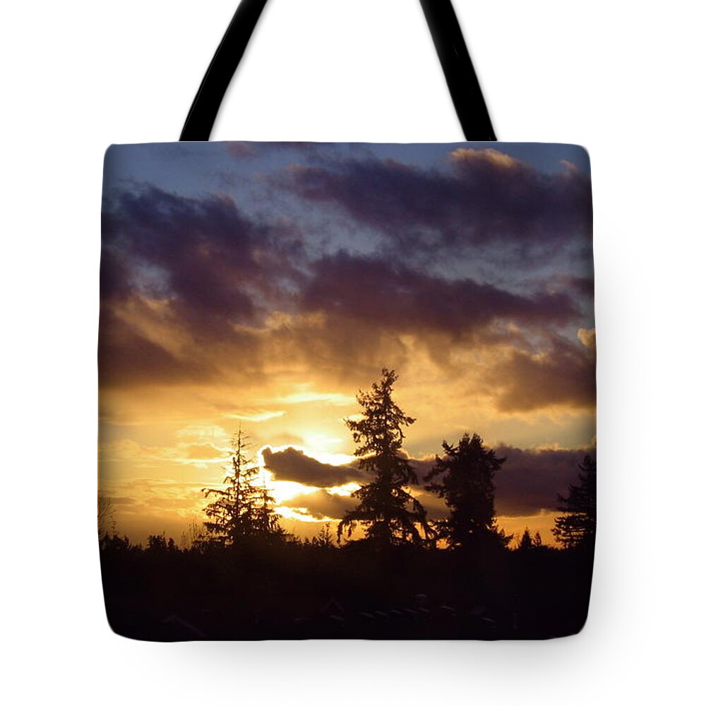 Sunset Tote Bag featuring the photograph Sunset in Northwest by Kazumi Whitemoon