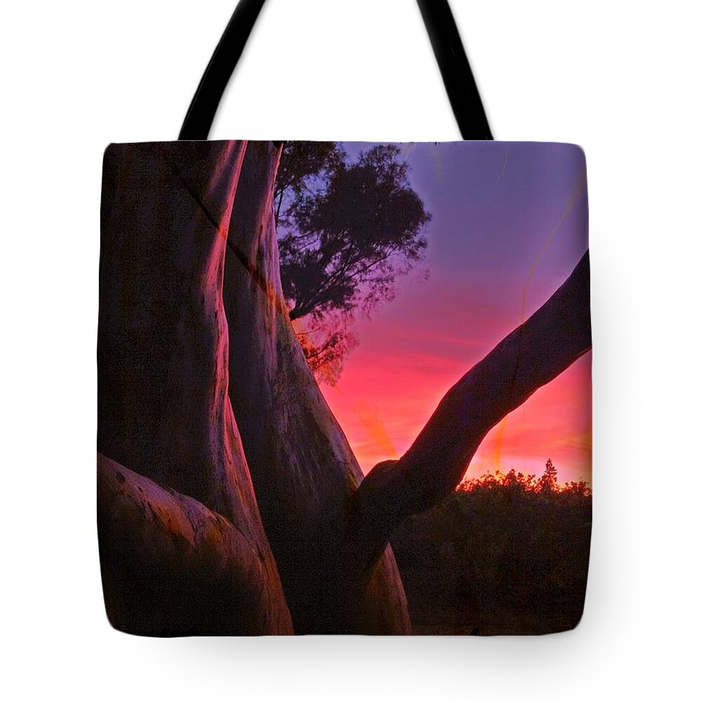 Trees Tote Bag featuring the photograph Sunset Madrone 3 by Anne Thurston